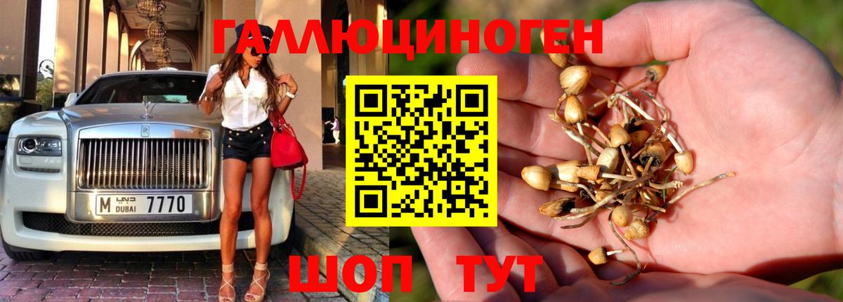 даркнет сайт  Вход с VPN  Наро-Фоминск  Псилоцибиновые грибы мухоморы 